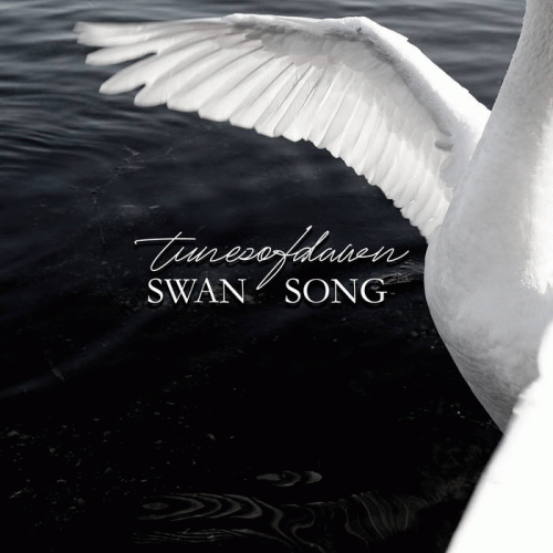 Tunes Of Dawn : Swan Song
